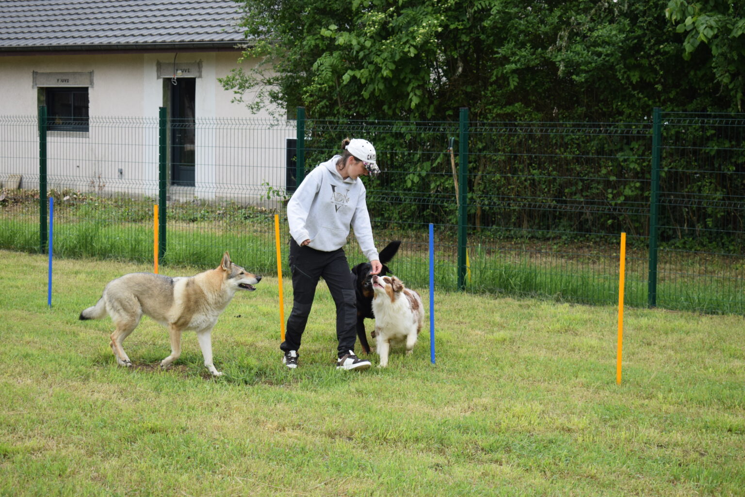 DSC_0023