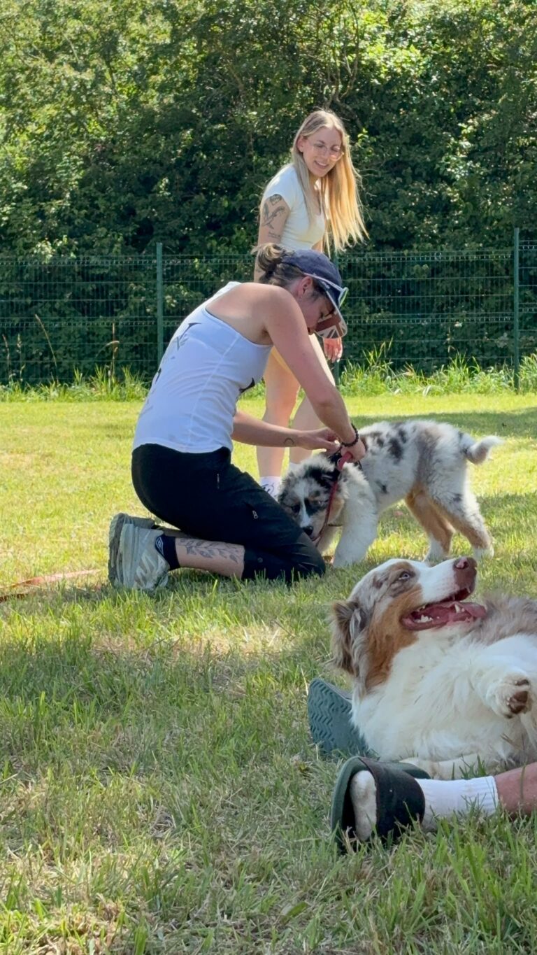 ADN Canin V / Journée du chiot