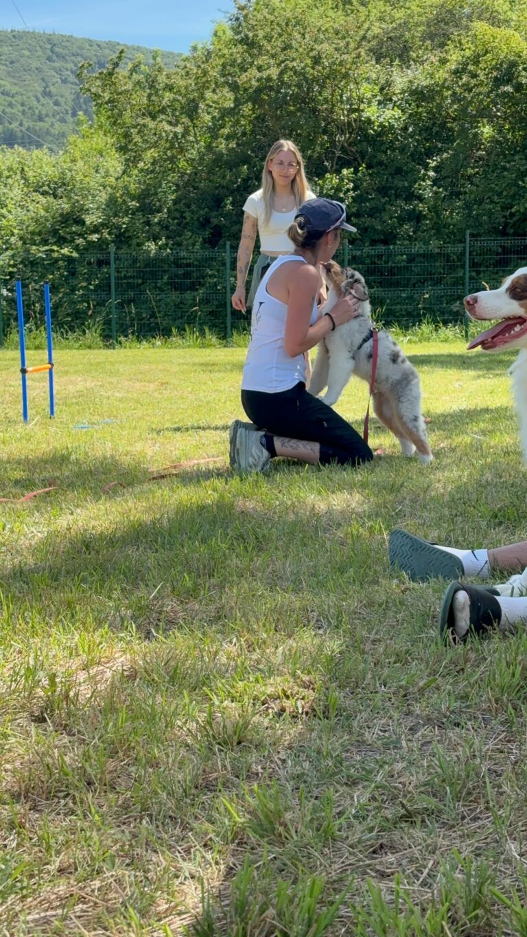 ADN Canin V / Journée du chiot