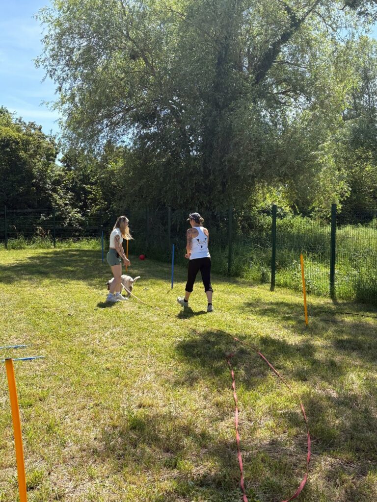 Journée du chiot activité ludique